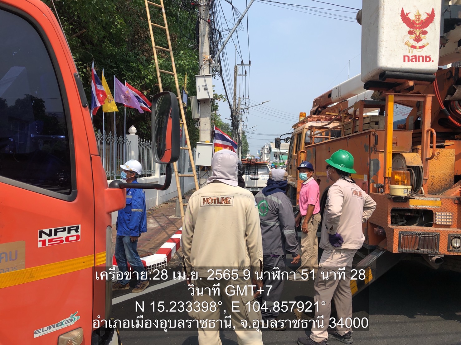S__1876199-(1).jpg